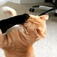 original sound - tunz._.liz4rd