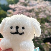 tofubea.tea