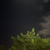 オリジナル楽曲 - ❤︎ S ❤︎