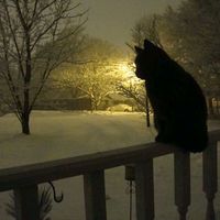 оригинальный звук