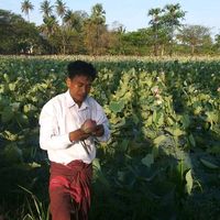 original sound - user6169800135868U ဦးတက်အောင်