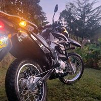 edier521521