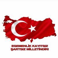 orijinal ses