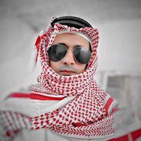 الصوت الأصلي