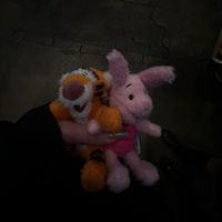 tiktok.73710