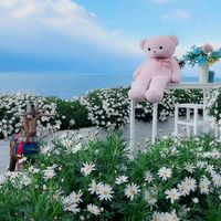 judyng19