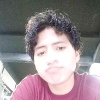 regulusvelasc4