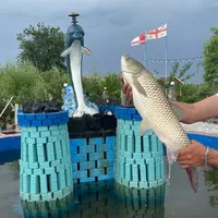 original sound - fish_xouse