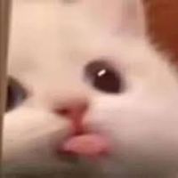 nnnnxniii