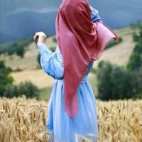 335hafize