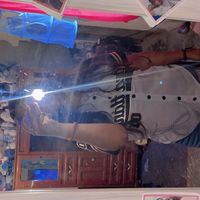 angiee_oficcial