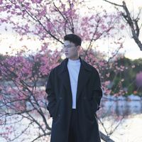nhạc nền - N v L