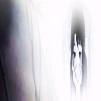 paradelixir