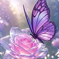 ss___20251