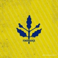 fenerbahcexgol