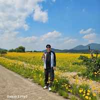 오리지널 사운드 - 리펑 លីហ្វុង