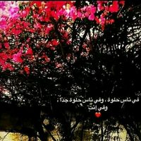 user045240625