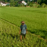 original sound - _yan_20.2