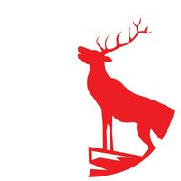 stagelectrical
