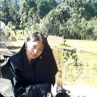 ozer_2025