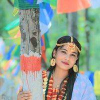 tulsha002