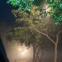 shahnawazpalari015