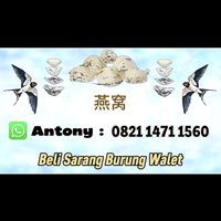 suara asli - song_8888