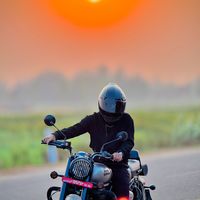king_0078661