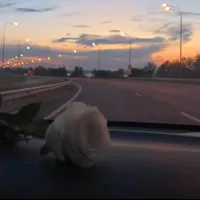 original sound - l___777____7