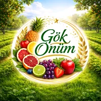 original sound - gok.onum