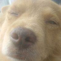 nhạc nền - Leeder Le Jones