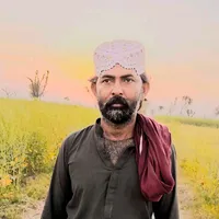 original sound - faizmuhammad0999