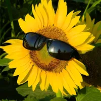 original sound - iind_presets