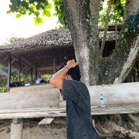 suara asli - Aww🤙🏼🦖