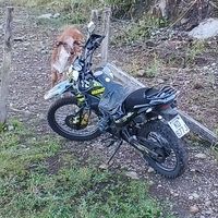 santosjumb552