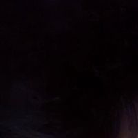 2_safl