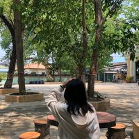 မူရင်းအသံ - Sg🙄👊