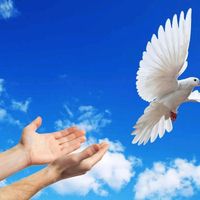 оригинальный звук