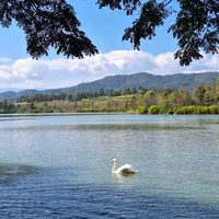 original sound - moji68780