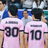50566yinxwar