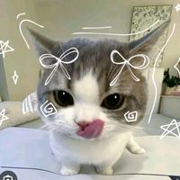 maichayng48
