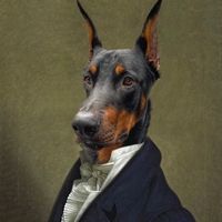 dobermanlordum
