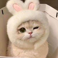 do_not_touch_me_i_bite