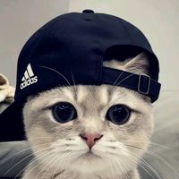 goasbmf