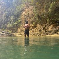 herbert_491