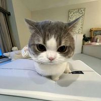 nhạc nền - brwy💥