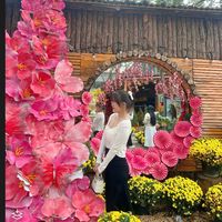 nhạc nền - ☘️Tuất🐶