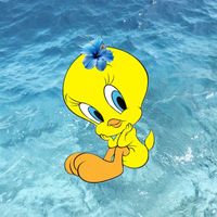 koa__sea