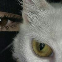 mariya_khan62