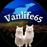 vanlife_65